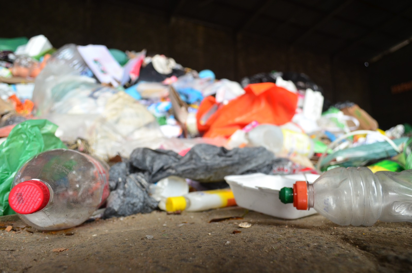 Imagem JPG, Projeto “Oceano sem Plástico” chega às escolas de Navegantes