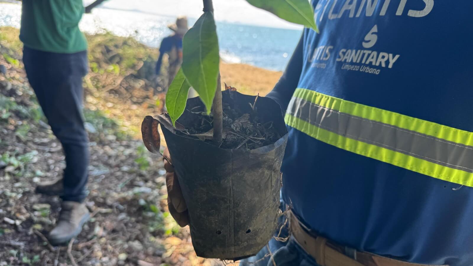 Imagem JPG, Prefeitura de Penha realiza limpeza e plantio de mudas nativas na trilha das praias da Saudade e Quilombo