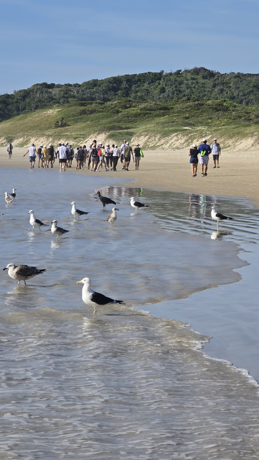 Imagem JPG, Especialista Ambiental do IMP apresenta ações de Educação Ambiental em Workshop Nacional do Bandeira Azul
