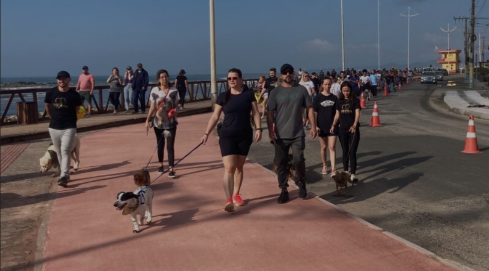 Imagem JPG, Navegantes promove evento do Maio Amarelo com foco na segurança de pessoas e animais