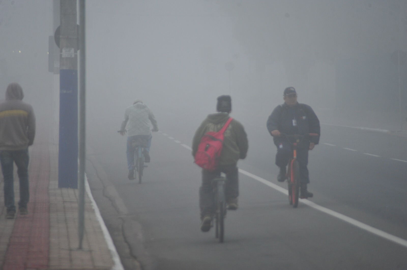Imagem JPG, Navegantes intensifica ações de proteção a pessoas e animais durante o frio intenso