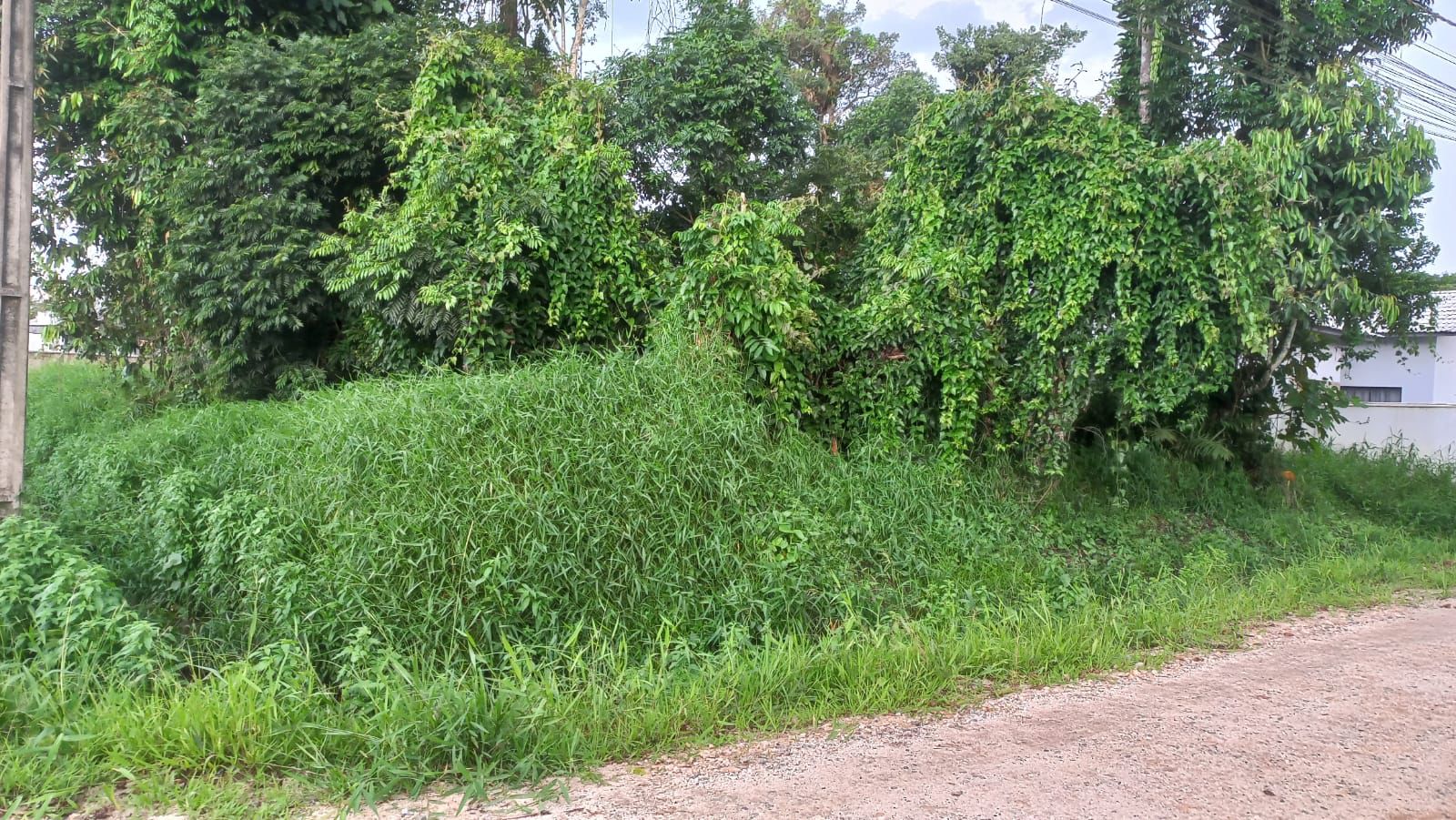 Imagem JPG, Prefeitura de Barra Velha Convoca proprietários  de terrenos Baldios