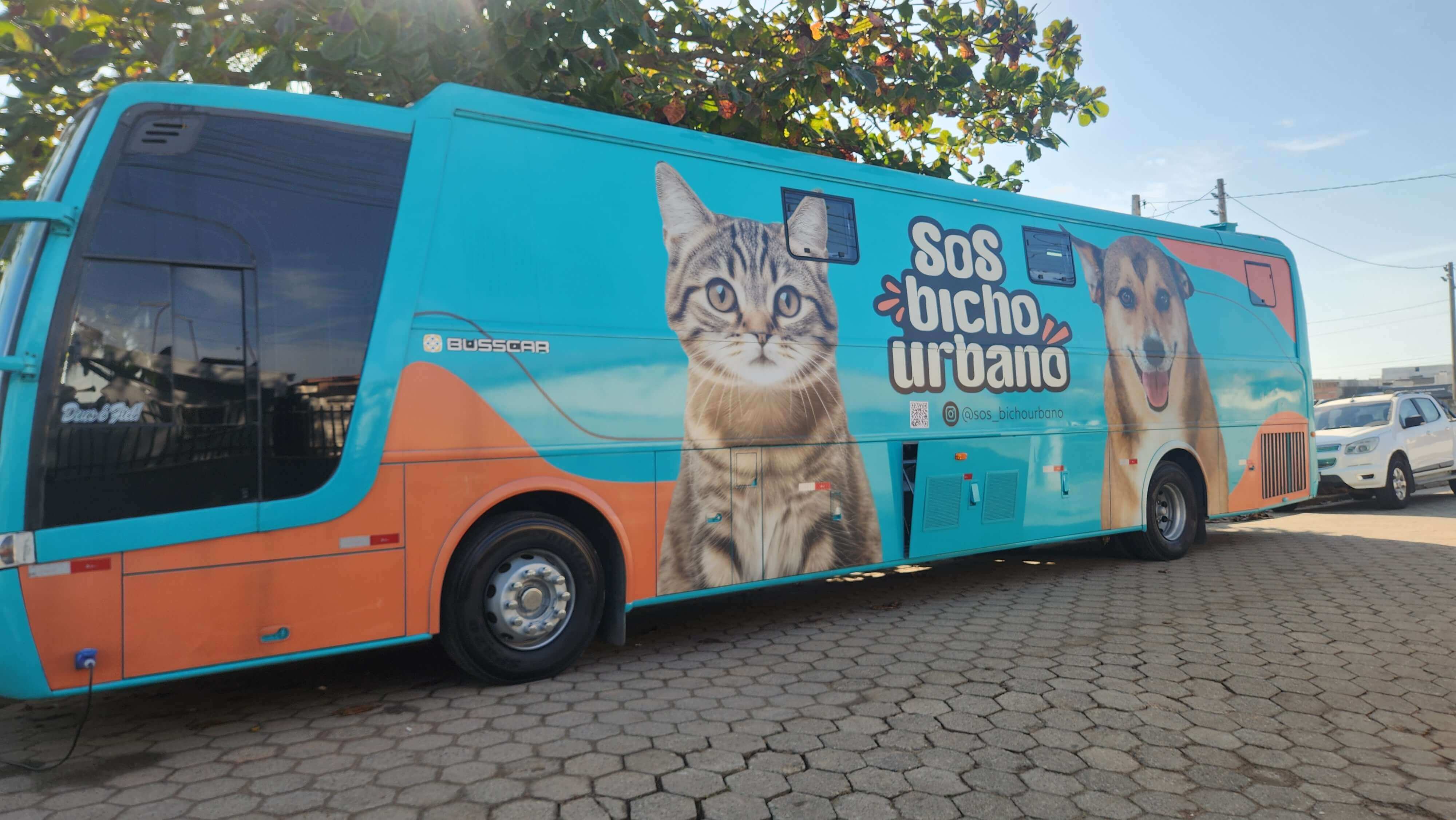 Imagem JPG, Barra Bicho e Fundema realizam Castrações em Mutirão em Barra Velha