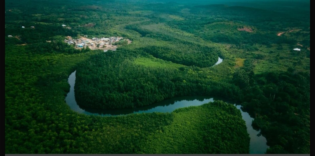 Imagem JPG, O Maior tesouro da Humanidade foi encontrado no Brasil, e pode salvar o planeta.