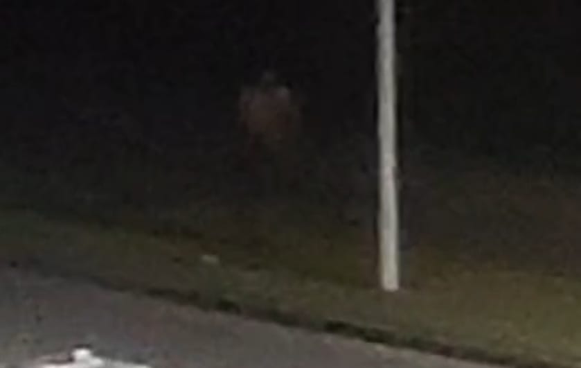 Imagem JPG, ATENCAO  FLAGRANTE :  AGORA COM O VIDEO DOS MARGINAIS Criminosos furtam fiação e danificam quatro postes de iluminação na Avenida Rita de Cássia Coelho Ramos