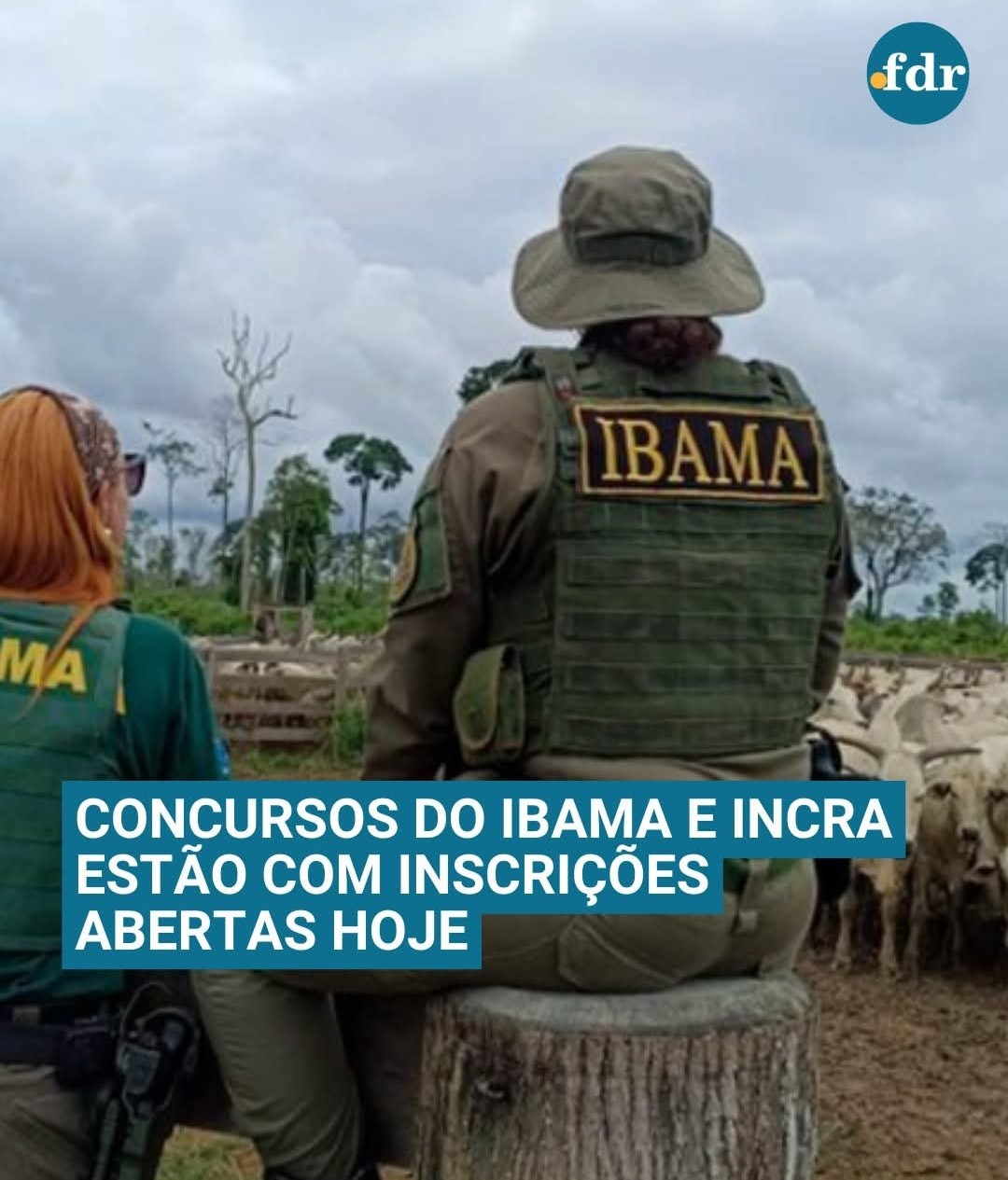 Imagem JPG, Atenção: Concursos 1500 vagas para IBAMA E INCRA