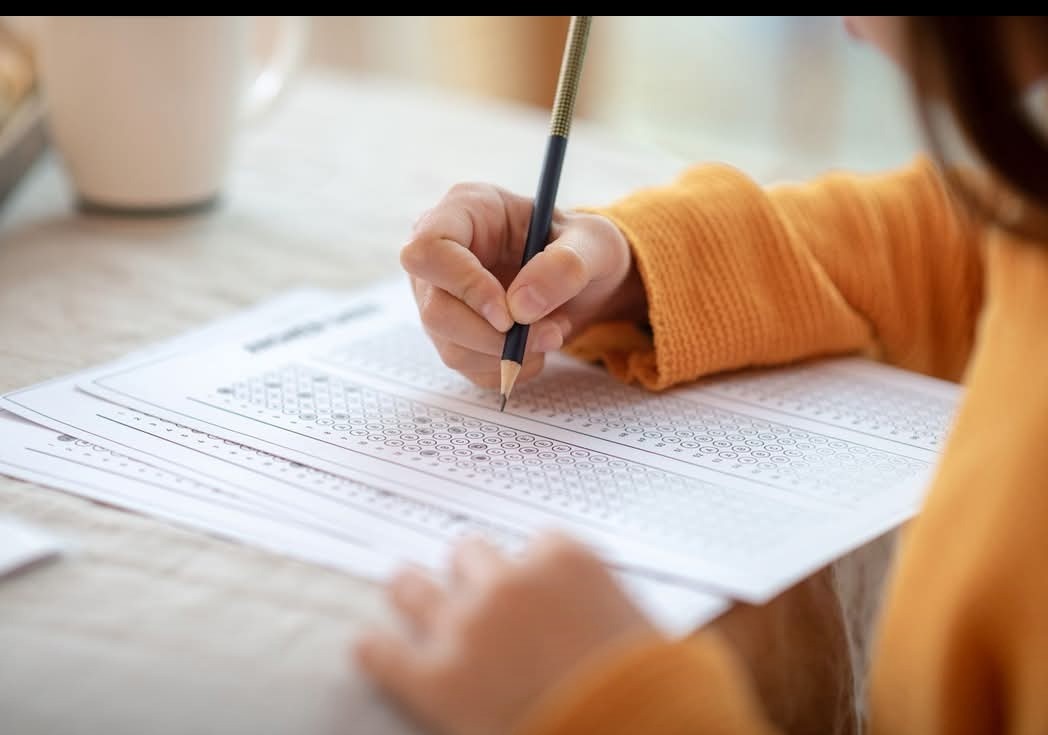 Processo  Seletivo em Barra Velha